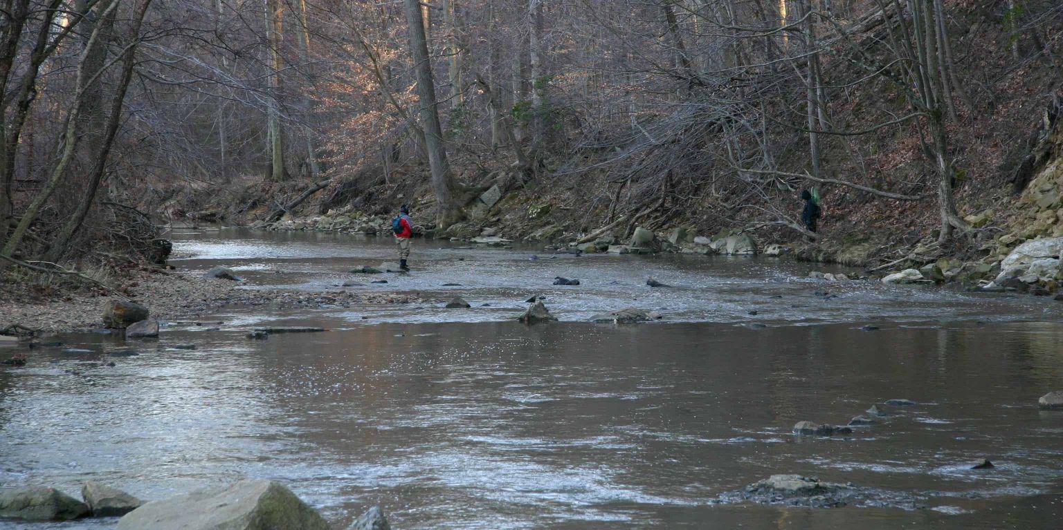 The 8 Best Places to Go Kayaking in Northern Virginia - Kayak Love